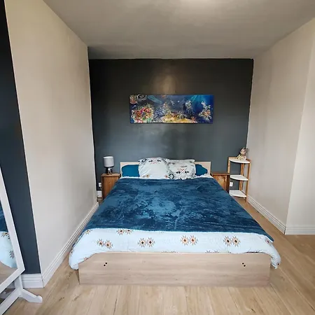 Maison Pleine De Charme Avec Jardin Spa&clim Carcassonne